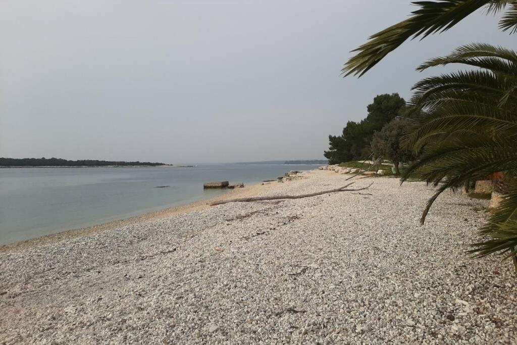 Apartman Near Fazana-500 From The Sea Zewnętrze zdjęcie