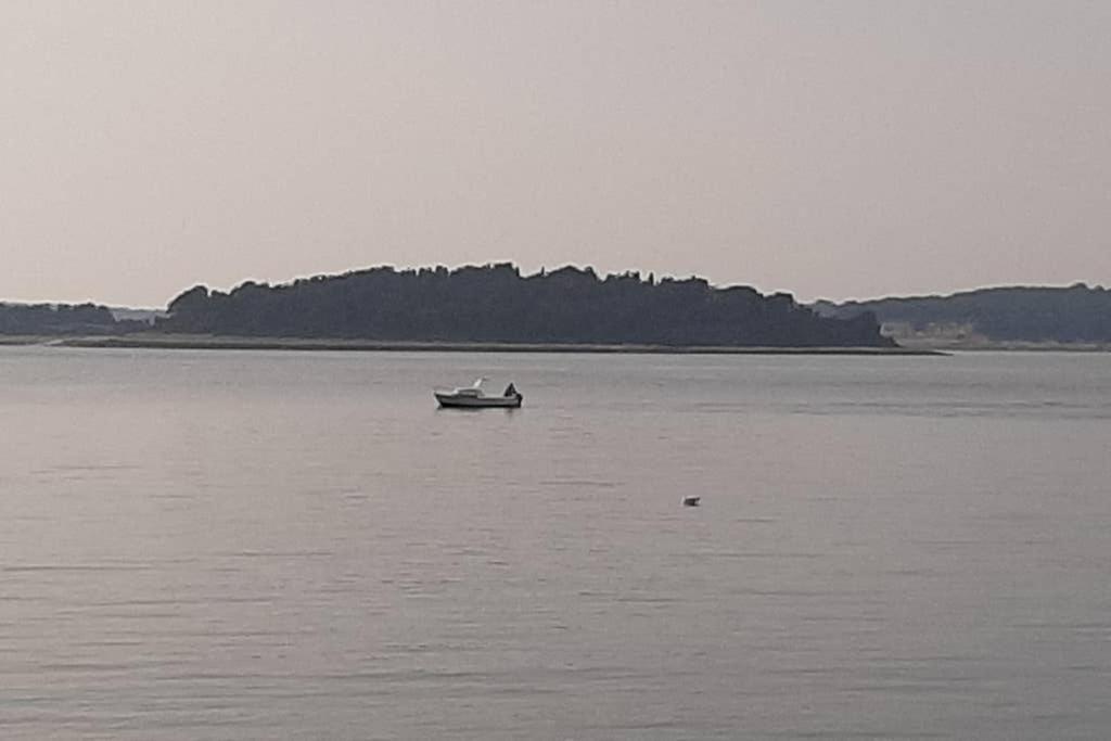 Apartman Near Fazana-500 From The Sea Zewnętrze zdjęcie
