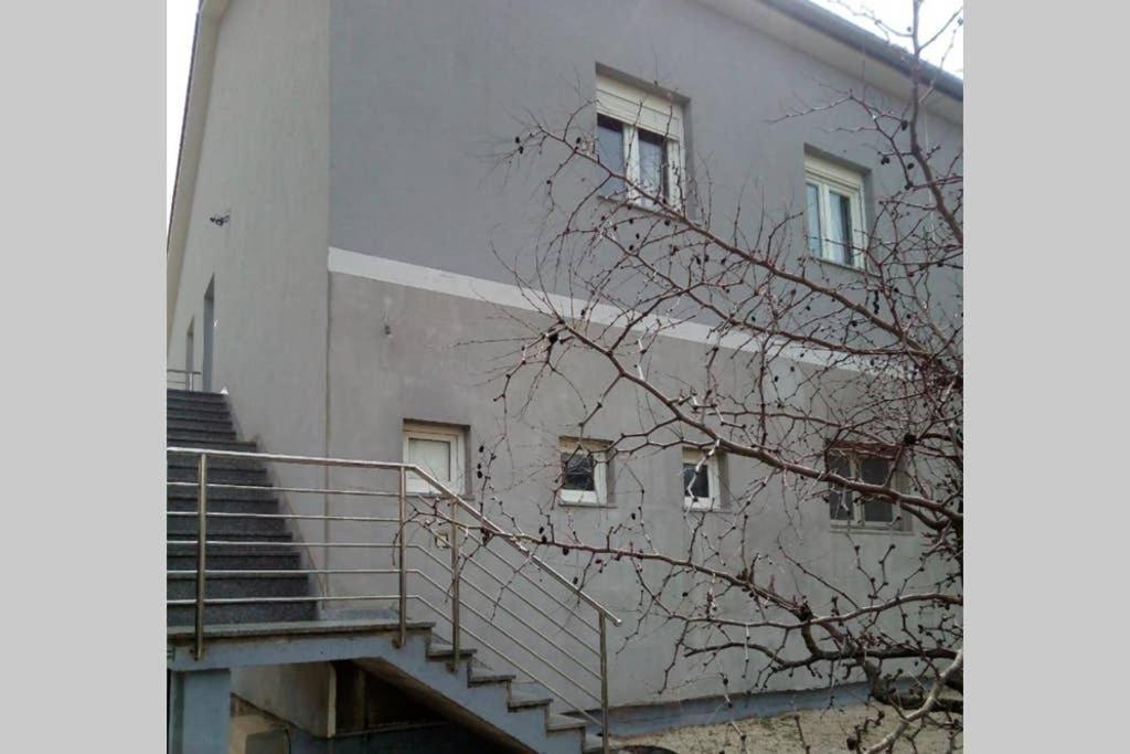 Apartman Near Fazana-500 From The Sea Zewnętrze zdjęcie